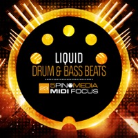 MIDI Focus - Liquid Drum & Bass Beats - No-nonsense slamming breaks and beats 