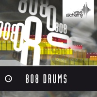 808 Drums - 808 Drums is for producers of house, techno, hip-hop and everything in between