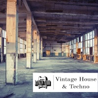 Vintage House & Techno - Rich analogue sounding leads layered with subtle floating synths