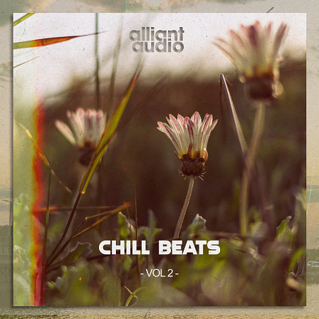 Chill Beats Vol.2 - All the necessary building blocks to make a multitude of Lo-Fi hits
