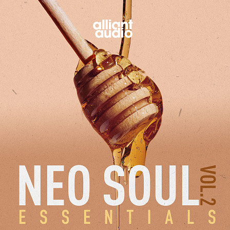 Neo Soul Essentials Vol.2 - A collection of samples representing a much loved era