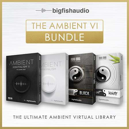 Ambient VI Bundle, The - An amazing bundle at a special limited time price!