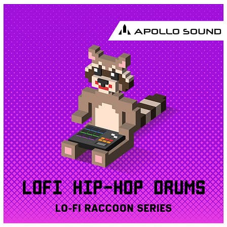 Lofi Hip Hop Drums - A cutting edge lofi drum kit with hundreds of selected sounds