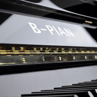 B-PIAN - A bad, old, out of tune, mechanically imperfect upright piano