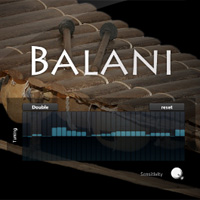 Balani - A 2 1/2 octave balafon