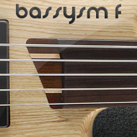 Bassysm-F - Fretless five string bass