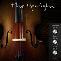 Upright, The - A four string Upright bass