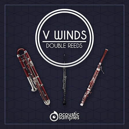 VWinds Double Reeds - Sampling Meets Modeling, Again and Again
