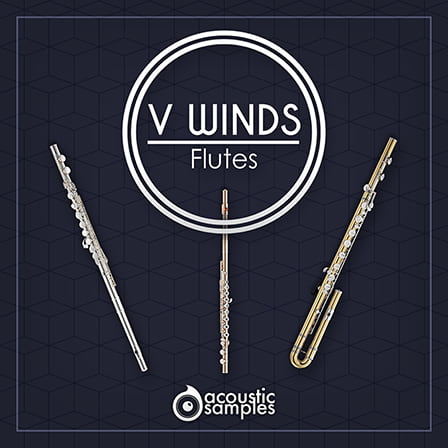 VWinds Flutes - The final orchestral section in the VWinds series is here at last