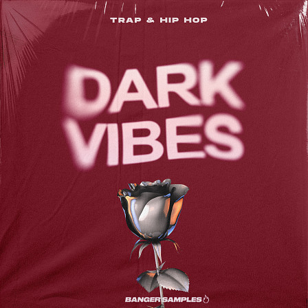 Dark Vibes - An innovate Hip-Hop, Trap, Drill & Phonk sample pack containing more 180 sounds