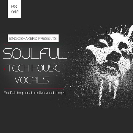 Soulful Tech House Vocals - Soulful & Tech House Vocals collection primed for every sub- genre of house
