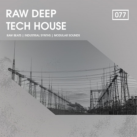 Raw Deep Tech House - Sub-heavy bass loops, dubby chords, analogue infused synth riffs & more