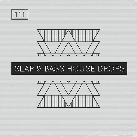 Slap Bass House Drops - Sub-heavy bass loops, laser sharp leads, shuffling beats, and twisted LFO synths