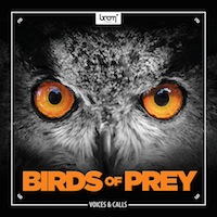 Birds Of Prey - 160+ files of high quality birds of prey sound effects