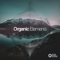 Organic Elements - Organic elements combined modern electronic processing techniques