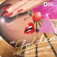 The Golden Hip Hop Principle by Audioflair - Old school hip hop samples with a truly authentic sound of vinyl