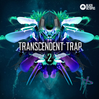 Transcendent Trap 2 by Paradigm Theorem - Over 100 original instruments ranging from uplifting to darkness 