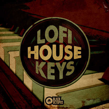 Lofi House Keys - Tons of warm, saturated, crispy and zesty keys
