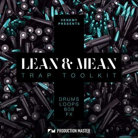 LEAN & MEAN TRAP TOOLKIT - All the drums you’ve ever wanted for your trap production