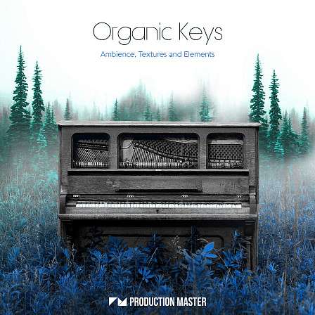 Organic Keys - Organic Keys brings you the most touching, emotional melodies & sensitive pianos