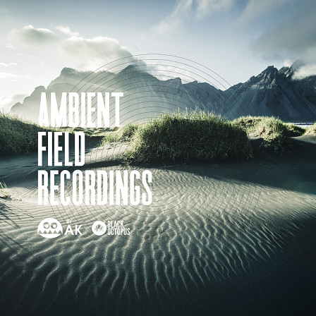 Ambient Field Recordings by AK - 100 field recordings of birds, dogs, cars, rain, people, trains & so much more!