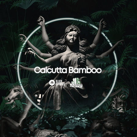 Calcutta Bamboo - Unique & vibrant sounds adding a sense of wonder and mystery to your productions