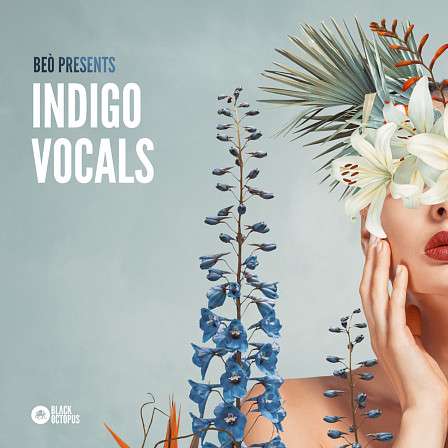 Beò Presents Indigo Vocals - A voice to remember and an artist on the rise
