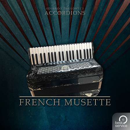 Accordions 2 - Single French Musette - A virtual French Musette from Eduardo Tarilonte's Accordions 2