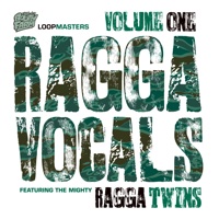 Ragga Vocals Vol. 1 - form the basis of future hits throughout the industry