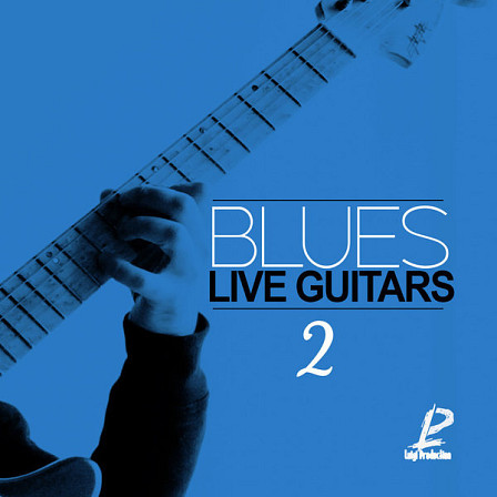 Blues Live Guitars 2 - An essential product for producers looking for Blues with live guitar sound