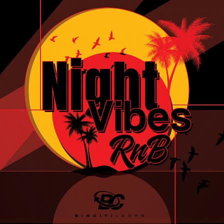 Night Vibes - 4 Construction Kits that provide you with high quality RnB loops and sounds