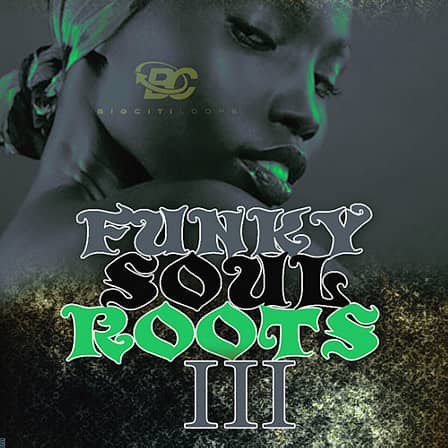 Funky Soul Roots 3 - Influenced by Ben Tankard, Erykah Badu, Heston, Noel Gourdin and more!