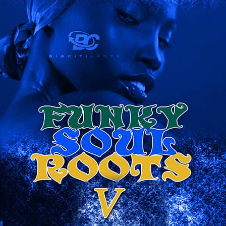 Funky Soul Roots 5 - The 5th collection of Funky Soul sounds inspired by Neo Soul and Funky Jazz!