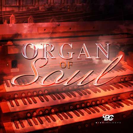 Organ of Soul - The most soulful organ loops that you will ever hear