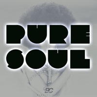 Pure Soul - The perfect kits to give you that spice you need in your production
