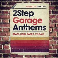 2Step Garage Anthems - Over 400 loops & oneshots you need to create the ultimate 2 Step vibe