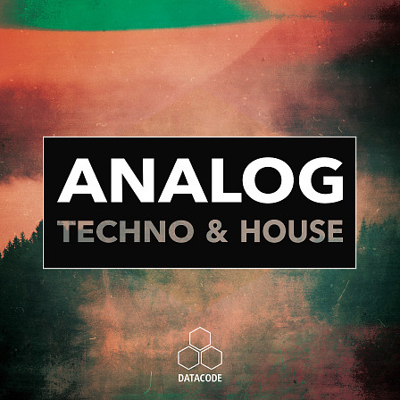 FOCUS: Analog Techno & House - A unique & inspiring collection of Analog hardware based Synths, Arps & Chords