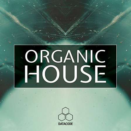 FOCUS: Organic House - A deep dive into the chill, atmospheric and melodic sounds of Organic House