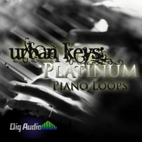 Urban Keys: Platinum Piano Licks - Packed with modern piano samples, licks and chops