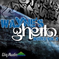 Wayne's Ghetto World Vol. 2 - Has all the Dirty South Swagga you need