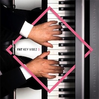 Fat Key Vibez 3 - Pro keys music loops with warm, melodic and smooth E-piano and Rhodes loops
