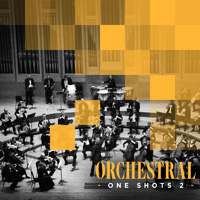 Orchestral One-Shots 2 - Extremely creative orchestral sounds/one shots with a multi genre vibe