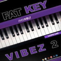 Fat Key Vibez 2 - High quality melodic Rhodes and Organ audio and midi loops