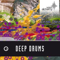 Deep Drums - Offering over 460 samples from the highly sought after XBASE 999 drum machine