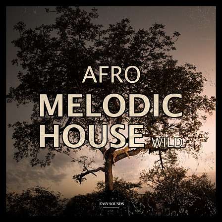 Afro Melodic Wild - Great percussive & organic vibes from the sounds of the world