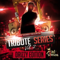 Tribute Series Vol.2 - Over 800 MB of cutting-edge samples, loops and FX