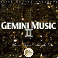 Gemini Music - The best interpretation of the sounds of Sage The Gemini
