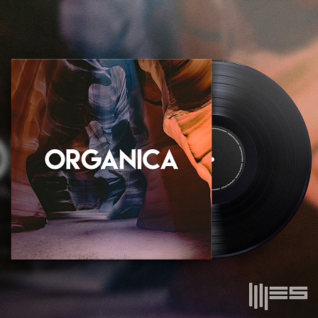 Organica - Inspired by artists like Bonobo, Four Tet and more. 