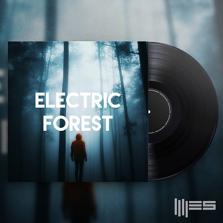 Electric Forest - Synth Loops, Basslines, Drum Loops, FX Loops, Vocal Loops and Drum One Shots
