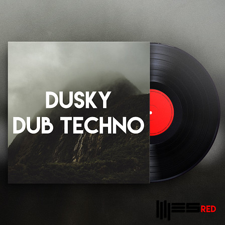 Dusky Dub Techno - Inspired by artists like Rod Modell, Porter Ricks, Echospace, Dublicator & more